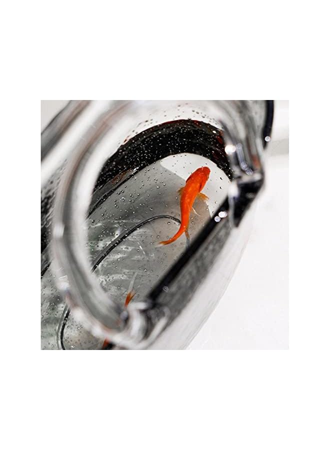 The Bros مزهرية شفافة بشكل - مزهريات زجاجية وعاء سمك مزهرية زهور مصنوعة يدويًا | مزهرية زهور شفافة لتزيين المنزل، مركز، أحداث، حديقة - Image 5