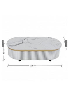 Luxury Marble Coffee Table Set - Light Gray with Gold Finish - Large Table (Width: 61 cm, Length: 119 cm, Height: 31 cm) & 4 Side Tables (Diameter: 33 cm, Height: 31 cm) - pzsku/ZA80F9093EB9C9862538FZ/45/_/1737747918/cbd3c1fa-6b08-479b-9df1-c08ce114c6b7