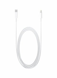 HEXABEX USB Type C To Lightning Data Charging Cable  - Image 2
