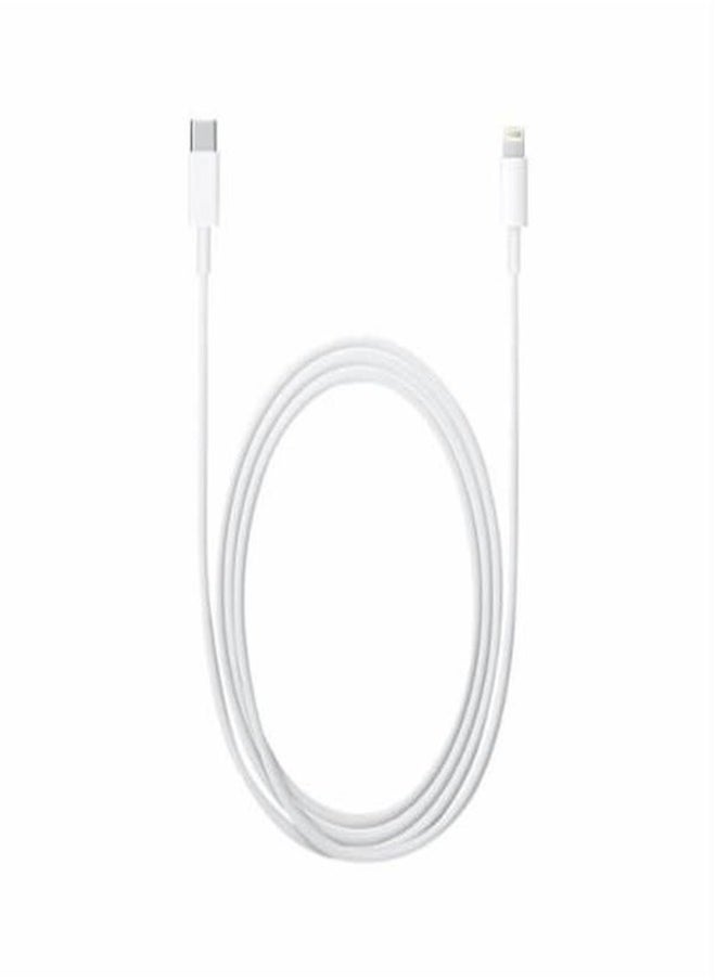 HEXABEX - USB Type C To Lightning Data Charging Cable - Image 1