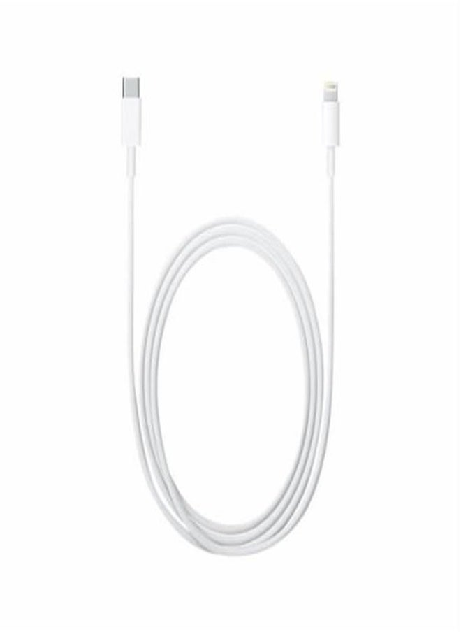 HEXABEX - USB Type C To Lightning Data Charging Cable - Image 1