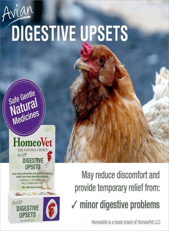 HomeoPet Avian Digestive Upsets, Safe and Natural Digestive Support Supplement for Poultry and Pet Birds, 15 Milliliters - Image 2