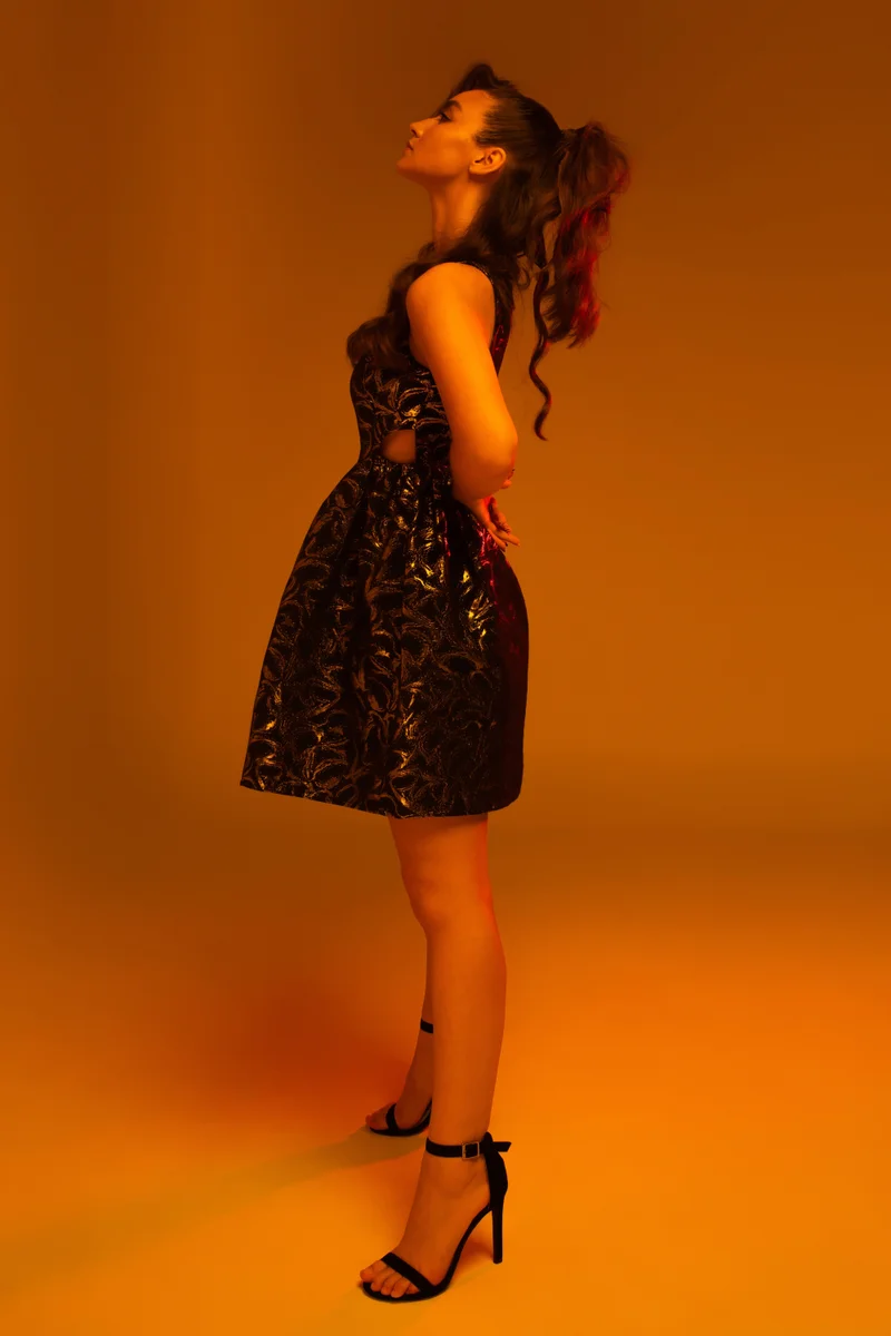 Double Second Gold Jacquard Cut Out Skater Dress