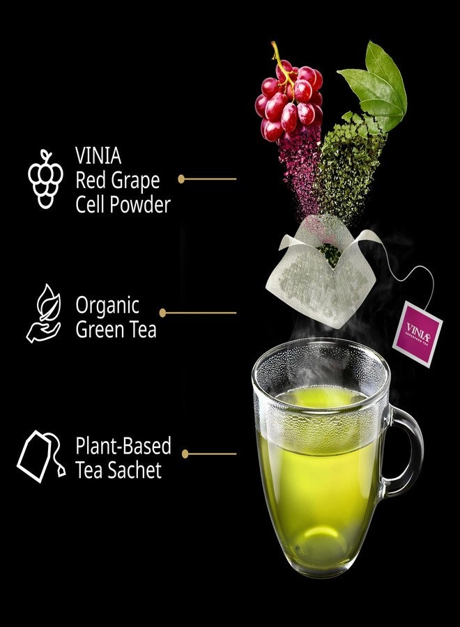 VINIA Signature Green Tea Bags, Made with Organic Green Tea, Infused with Piceid Resveratrol for Heart Health, Nitric Oxide, Physical Energy, Alertness, Blood Flow, Keto, Kosher, NON-GMO. 30 Ct - Image 3