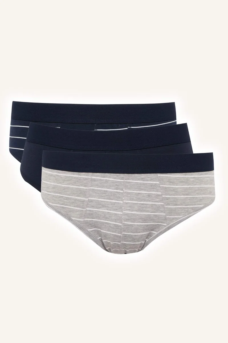 Regular Fit 3 Piece Panties