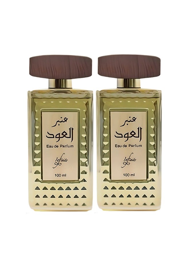 2 Pieces Amber Al Oud Perfume 100ml EDP - pzsku/ZA8175C3985379D0062A4Z/45/_/1733939813/8aad9545-ce9c-4591-83ba-296c85c10def