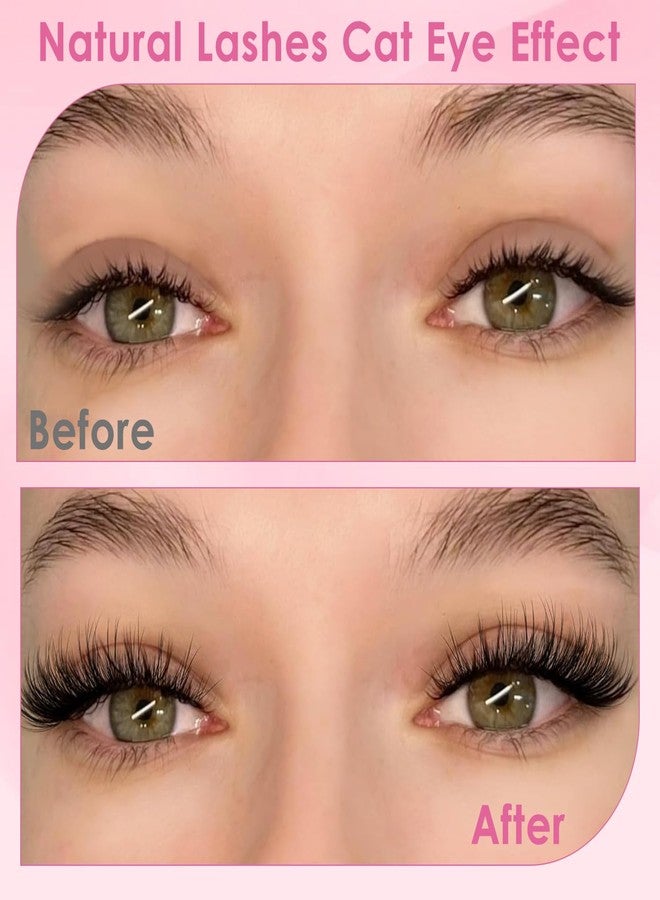 MAYCREATE® 5 Pair Natural Lashes Self Adhesive False Eyelashes Clear Band Cat Eye Lashes Natural Look Fake Eyelashes Pack Naturales Wispy D Curvature Lashes at Home - Image 5