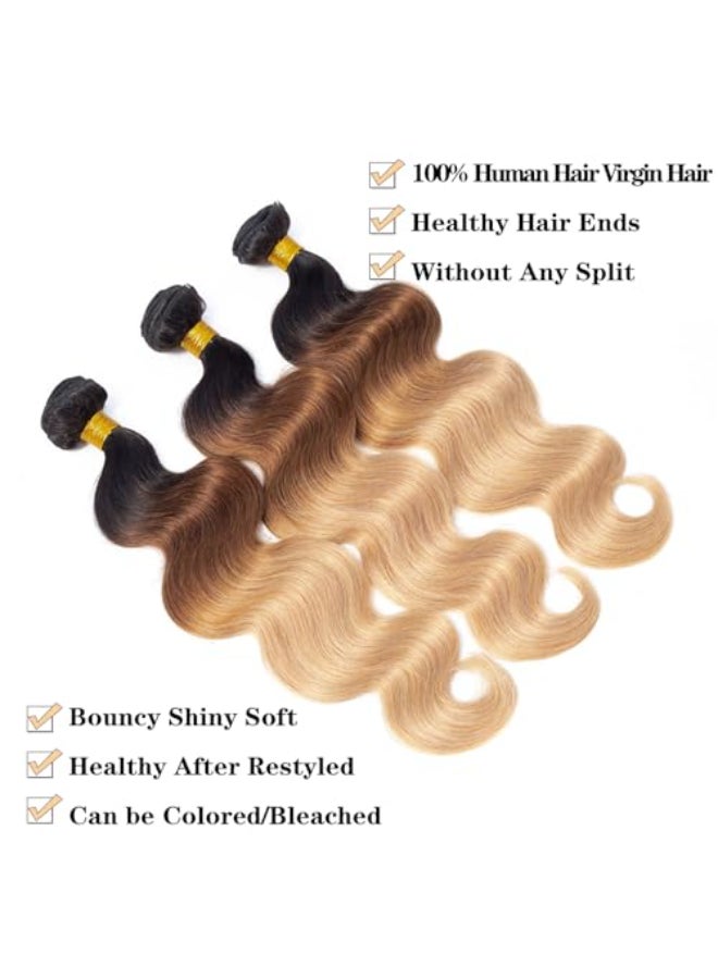 ROYAL IMPRESSION 12A Grade Ombre Bundles Human Hair T1B302716 16 16 Ombre Brown Body Wave Human Hair 3 Bundles 100 Unprocessed Virgin Brazilian Body Wave Hair Quick Weave - Image 3
