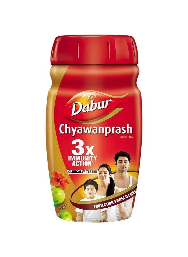 Dap Dabur Chiawanbrash: 2X/3X Immunity, Helps Build Strength and Endurance - 500g - Image 1