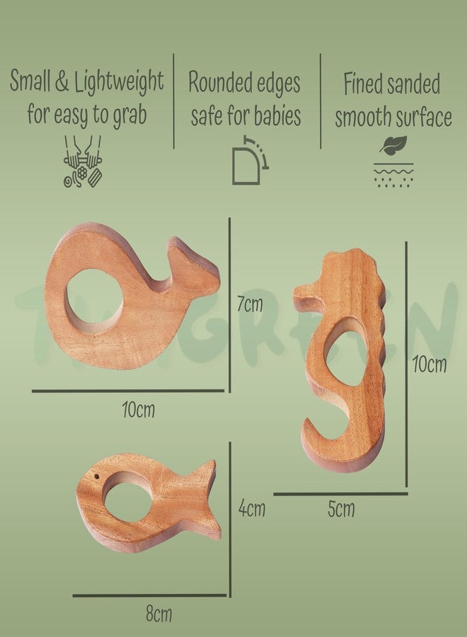 TINIGREEN Fish Dolphin Seahorse Shaped Organic Neem Wood Teether Combo for Baby (Pack of 3) - Image 2