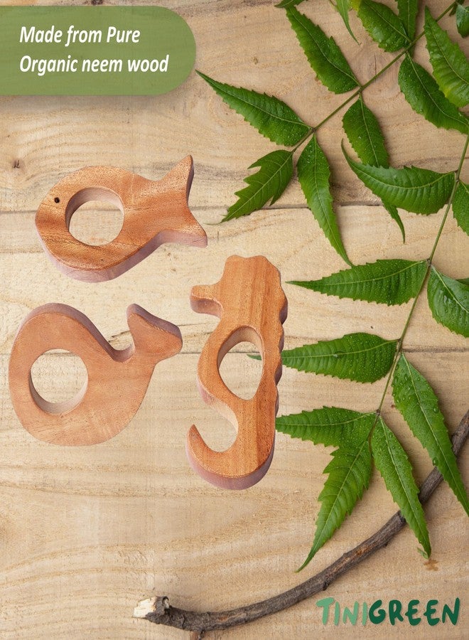 TINIGREEN Fish Dolphin Seahorse Shaped Organic Neem Wood Teether Combo for Baby (Pack of 3) - Image 3