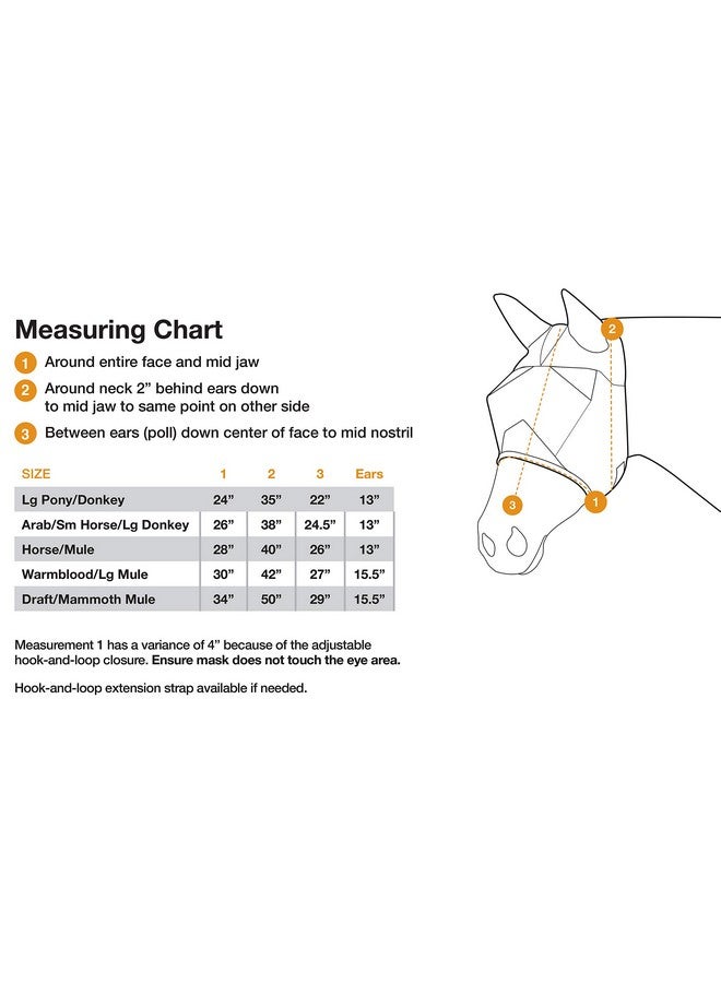 كاشيل CASHEL QR حصان البغل ذو الأذن الطويلة (QRMHLE) - Image 2
