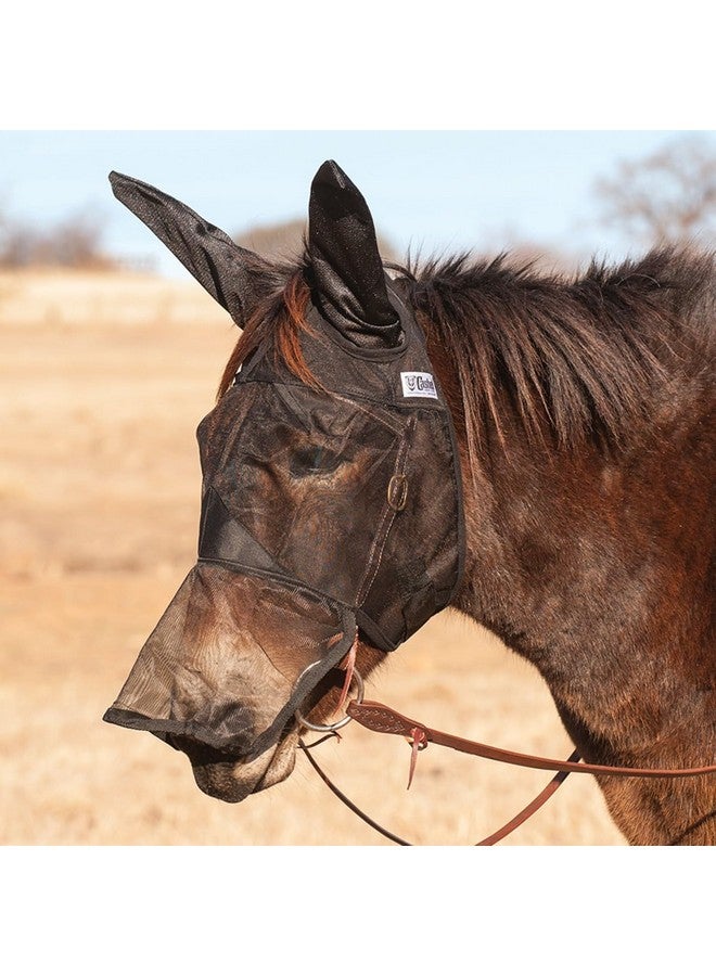 كاشيل CASHEL QR حصان البغل ذو الأذن الطويلة (QRMHLE) - Image 1