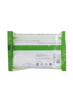 All day wipes مناديل مضادة للبكتيريا طوال اليوم 25 منديل  - Image 2