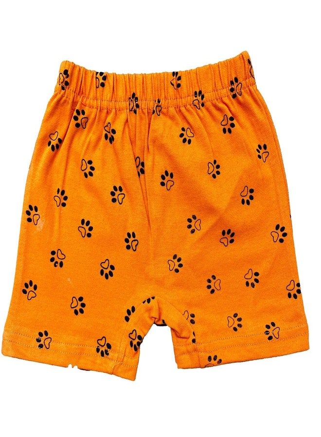 FASHA Pure Cotton Baby Bloomer - Unisex Toddler Underwear, Super Soft Breathable Briefs - Pack of 5 - Assorted Prints - Image 3