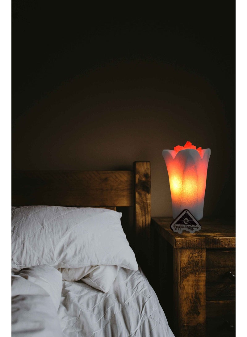 Egypt Antiques Lotus lampshades 100% natural rock salt completely handmade  - Image 2