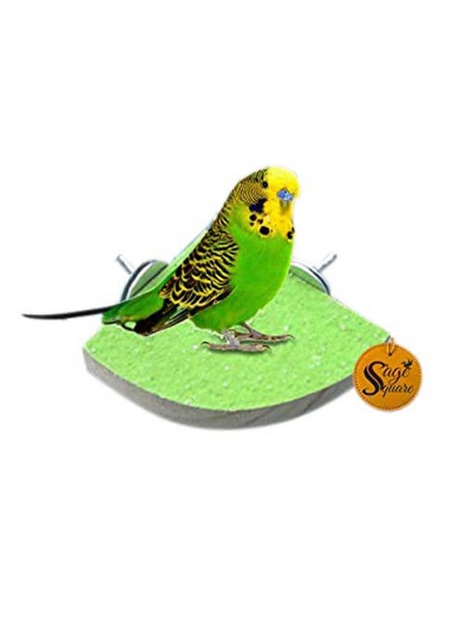 Sage Square Playful Natural Wood Sand Perch Platform Cage Toy For Parrot, Budgies, Cockatiel, Lovebird, Budgerigar, Sun Conure, Finch, African Grey, Canary, Cockatoo, Macaw Birds (9 Inches) - Image 1