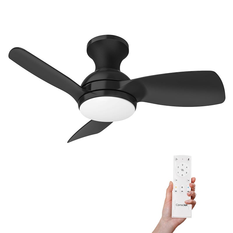Consciot Ceiling Fan With Lights 30 Inch, Kids Ceiling Fan Black Modern, Flush Mount, Reversible Quiet DC Motor, 6 Speed, Dimmable, Kitchen Bedroom Patio - Image 1
