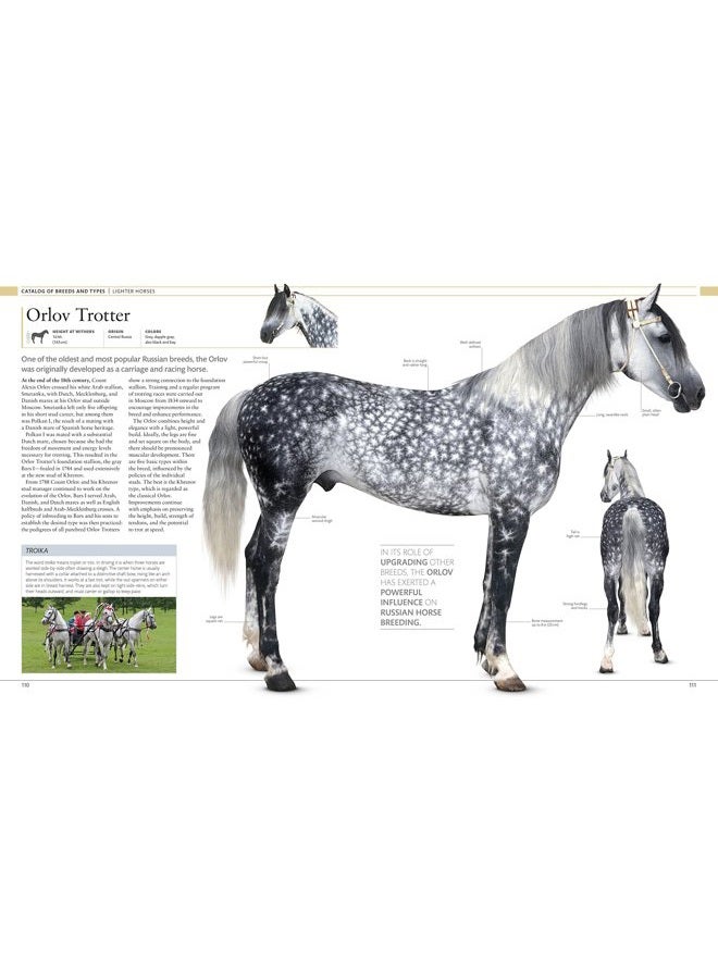 DK Publishing (Dorling Kindersley) The Horse Encyclopedia - Image 3