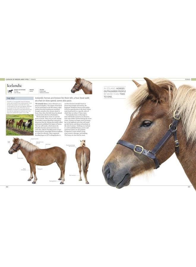 DK Publishing (Dorling Kindersley) The Horse Encyclopedia - Image 4