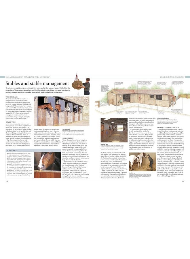 DK Publishing (Dorling Kindersley) The Horse Encyclopedia - Image 5