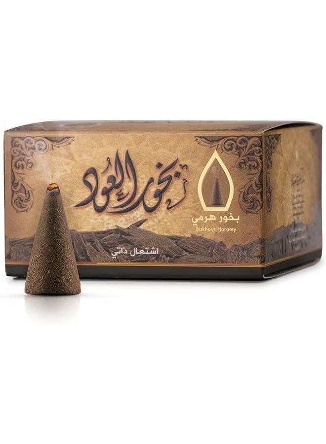سدر الخليج للعطور مجموعة بخور العود هرمي من 12 قطعة بني 50جرام - Image 3