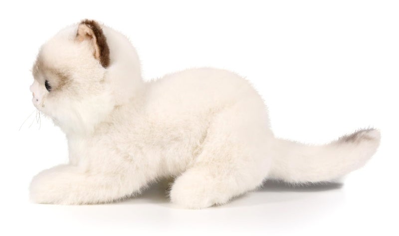 Ice King Bear Little Ragdoll Cat Stuffed Animal Kitten Plush Toy (Lying) - Image 3