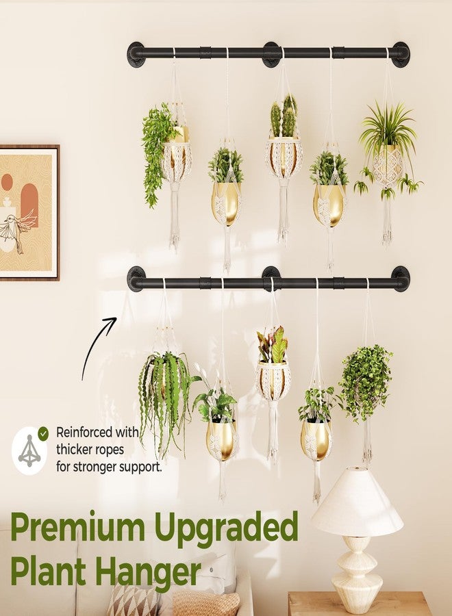 Bamworld Window Plant Hanger Indoor 63in 2PCS Hanging Planters for Indoor Plants Hanging Plants Holder Hanging Rod Window Plant Shelves Wall Planters Pot/Chain/Plant Not Included (Black) - Image 4