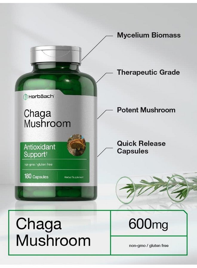 Horbäach Chaga Mushroom Capsules | 180 Count | Non-GMO & Gluten Free Supplement - Image 3