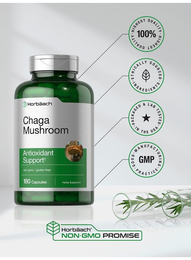 Horbäach Chaga Mushroom Capsules | 180 Count | Non-GMO & Gluten Free Supplement - Image 5