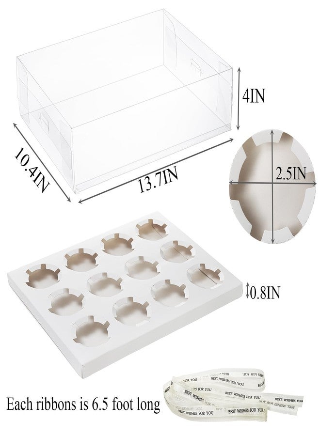 Cedilis 12 Pack Clear Cupcake Boxes, 12 Count Cupcake Containers with Gift Ribbon, Plastic Cupcake Carrier Holder for Cookies, Muffins, Bakeries - Image 2