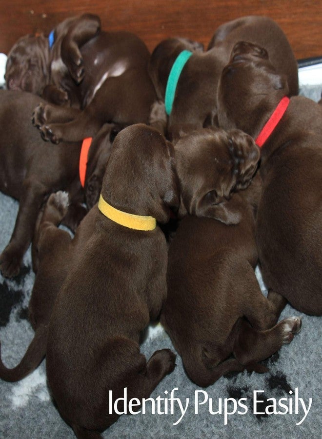 Whaline 15 Colors Puppy ID Collars Whelping Dog Band Newborn Soft Fabric Adjustable Identification Collar for Pet Dog Cat - Image 5