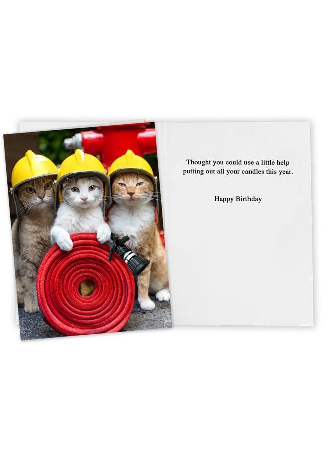 CardFool Funny Cat Birthday Card for women, men, family & friends - hilarious greeting card if you need help putting out your candles birthday cards for all - Image 2