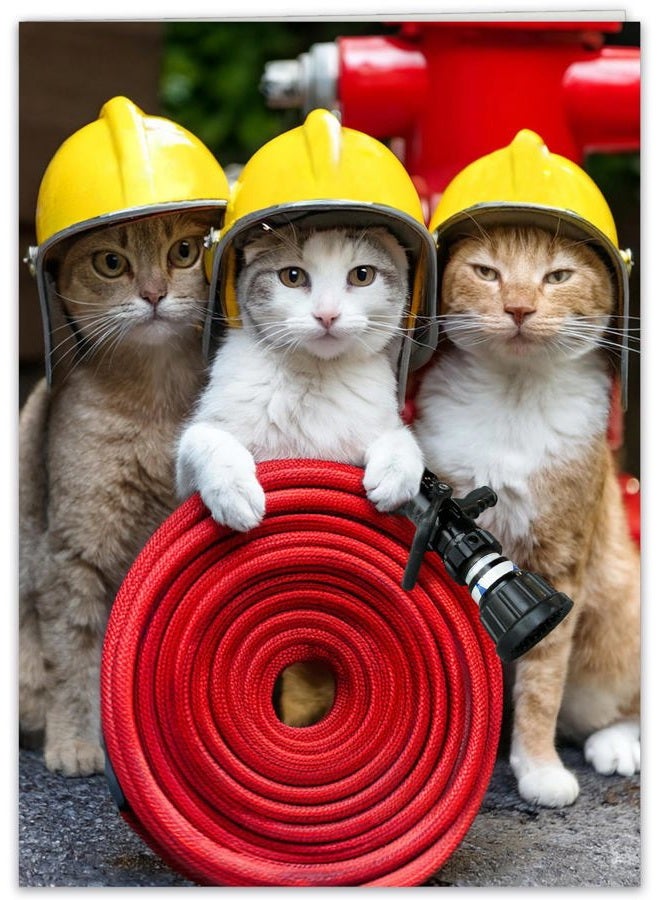 CardFool Funny Cat Birthday Card for women, men, family & friends - hilarious greeting card if you need help putting out your candles birthday cards for all - Image 1