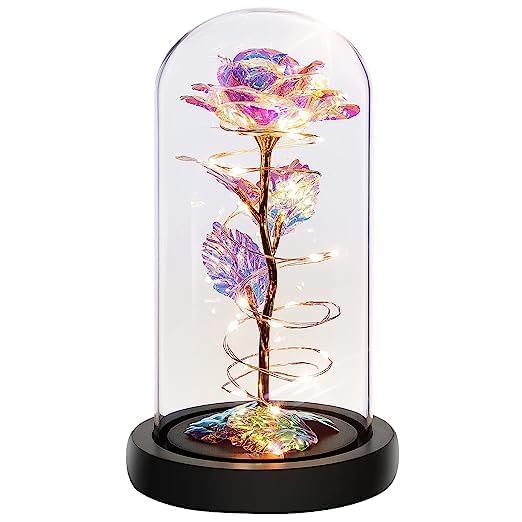 RudraLand Preserved Flower Gift Light Up Rose in Glass Dome Eternal Forever Rose Flower ValentinesAnniversaryWedding Gifts Rainbow Forever Rose in Glass Dome Crystal Flower - Image 1