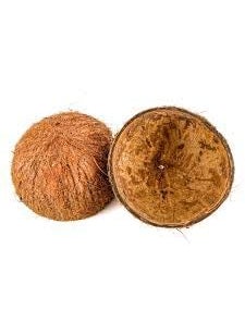 Generic SMP Oil Industry Natural Coconut Shell Shell for Cooking Making CharcoalBarbeques Combos Pack of 60  - Image 2