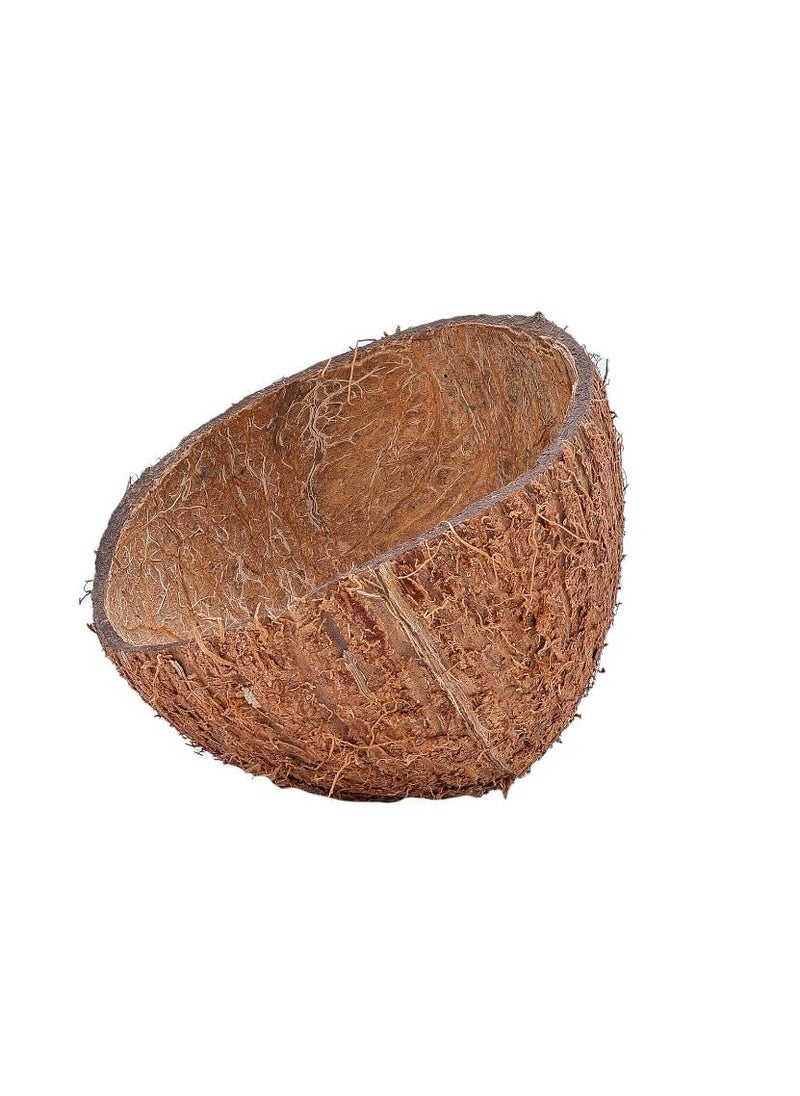 Generic SMP Oil Industry Natural Coconut Shell Shell for Cooking Making CharcoalBarbeques Combos Pack of 60  - Image 1