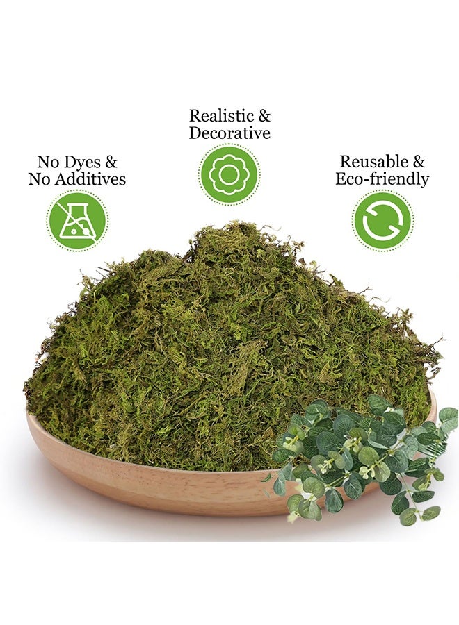 RESONIX Fade Resistant Artificial Moss 100g with 2 Decorative Plant Stems for Crafts DIY Decor Potted Plants Fairy Gardens Centerpieces Decorative Walls Realistic Texture for Home and Outdoor Use - Image 3