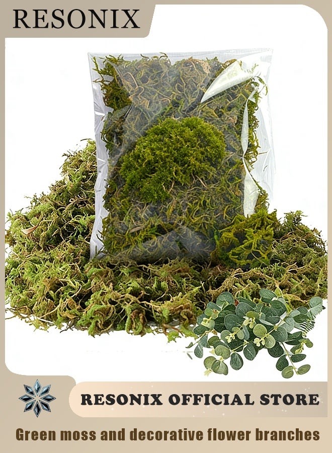 RESONIX Fade Resistant Artificial Moss 100g with 2 Decorative Plant Stems for Crafts DIY Decor Potted Plants Fairy Gardens Centerpieces Decorative Walls Realistic Texture for Home and Outdoor Use - Image 1