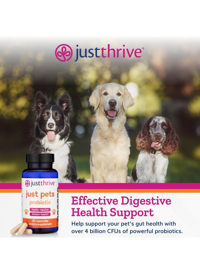 جاست ثرايف، بروبيوتيك للحيوانات الأليفة - بروبيوتيك هضمي يومي للكلاب والقطط - 4 مليارات وحدة تشكيل مستعمرة، بروبيوتيك للحيوانات الأليفة، 30 كبسولة - Image 3