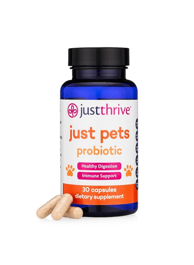 جاست ثرايف، بروبيوتيك للحيوانات الأليفة - بروبيوتيك هضمي يومي للكلاب والقطط - 4 مليارات وحدة تشكيل مستعمرة، بروبيوتيك للحيوانات الأليفة، 30 كبسولة - Image 1