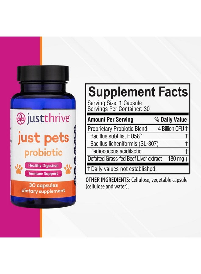 جاست ثرايف، بروبيوتيك للحيوانات الأليفة - بروبيوتيك هضمي يومي للكلاب والقطط - 4 مليارات وحدة تشكيل مستعمرة، بروبيوتيك للحيوانات الأليفة، 30 كبسولة - Image 2