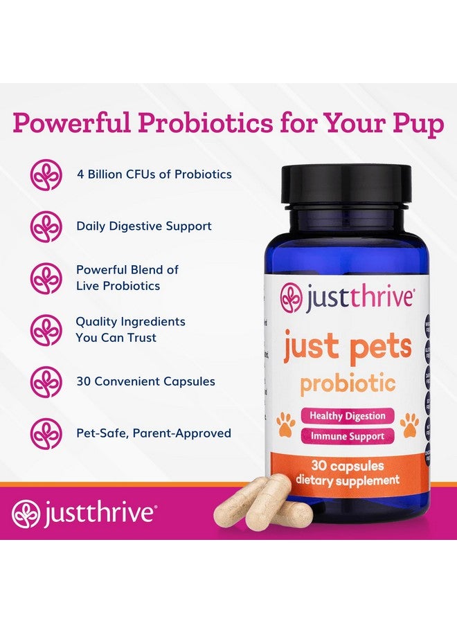 جاست ثرايف، بروبيوتيك للحيوانات الأليفة - بروبيوتيك هضمي يومي للكلاب والقطط - 4 مليارات وحدة تشكيل مستعمرة، بروبيوتيك للحيوانات الأليفة، 30 كبسولة - Image 4