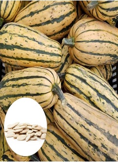100Pcs/Bag Delicata Squash Seeds Healthy Nutritious Special Sweet Dumpling Squash Delicata Seeds for Yards - Flower Seeds Vegetable Seeds Fruit Seeds Garden Plant Seeds for Planting