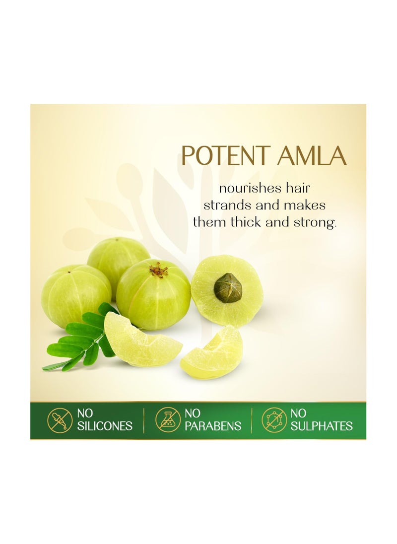 Amla & 7 Herbal Seeds Hair Oil With Nourish Tube Strengthens & Thickens Hair Silicone & Paraben Free - 280ml - pzsku/ZA82D51ACEEE6A6DD0774Z/45/_/1739028931/667db1b1-9e15-4450-9a18-c276526429d6