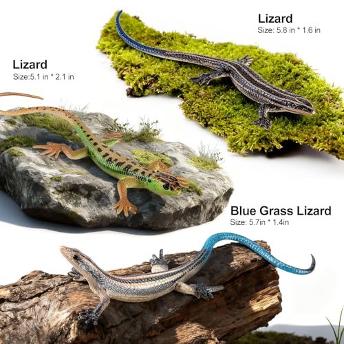 THINKBAY 10PCS 6 Realistic Lizard Figurine Plastic Fake Reptile Lizard Toys for Kids in Party Favors Idea Colorful Gift with Reptile Animal Figures Toys for Kids Ages 35 57 48 Boys Girls - Image 5
