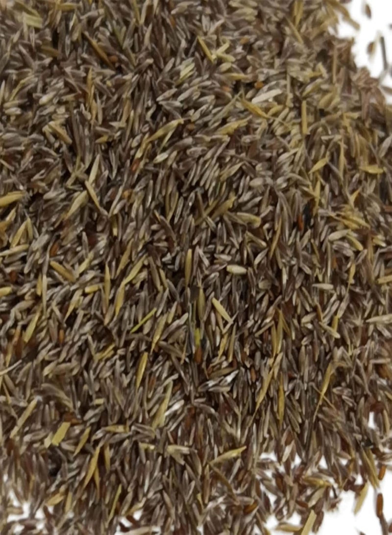 GGOOT 50Pcs/Bag Pampas Seeds, Natural High Germination Easy Planting Pampas Grass Seeds for Courtyard Balcony Yard Garden Gardening Seeds - Image 2