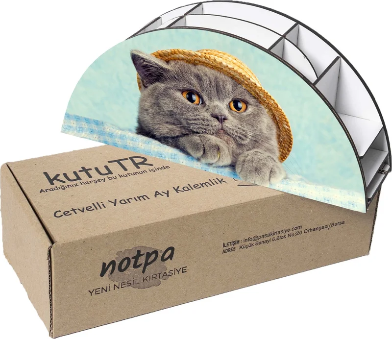 Notpa Wooden Vip Cat in Hat Rainbow Ruler Desktop Pen Holder Organizer for Kids VIP124