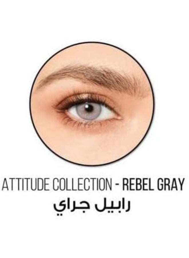 Desio One Day Color Contact Lens - Rebel Grey  - Image 2