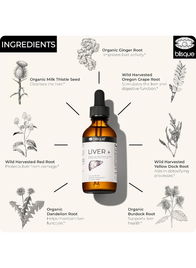 Blisque – Liver Complex Supplement to Detox, Cleanse, and Repair The Liver | Doctor-Approved | Natural Ingredients | Milk Thistle and Dandelion Root | 2 Ounce | 59 Servings - Image 4